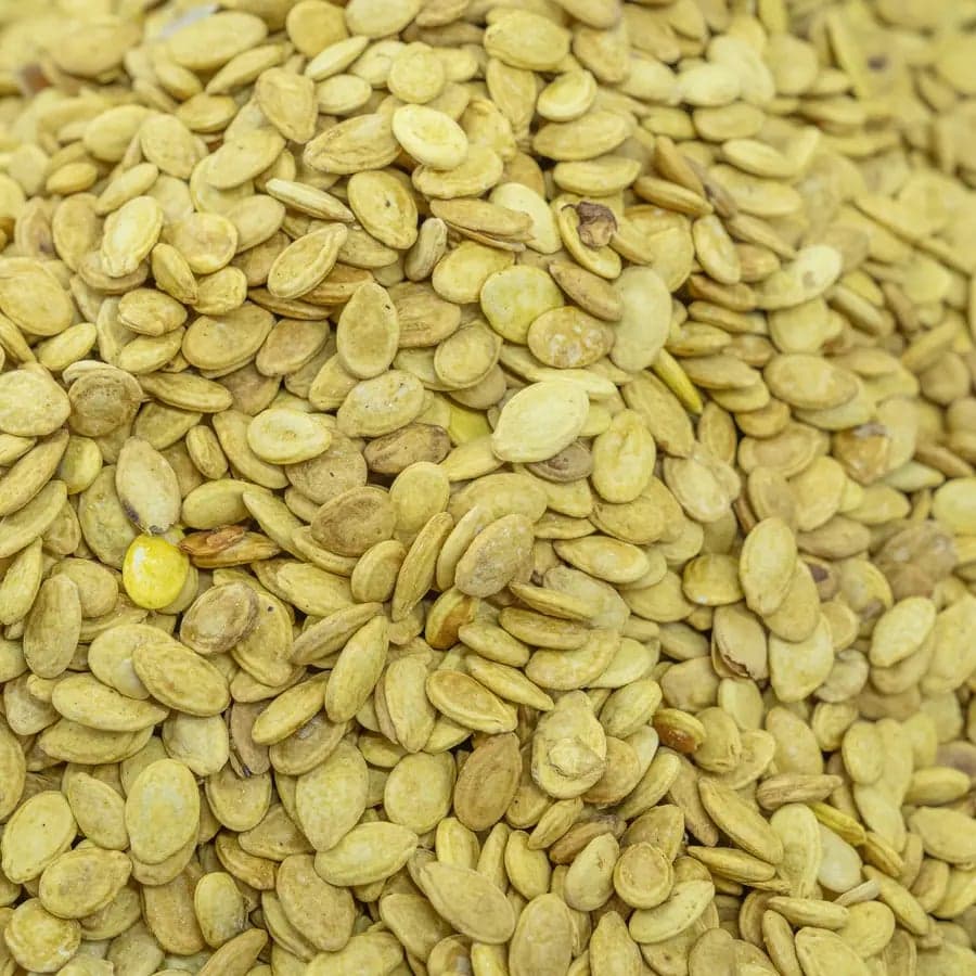 Egyptian Seeds