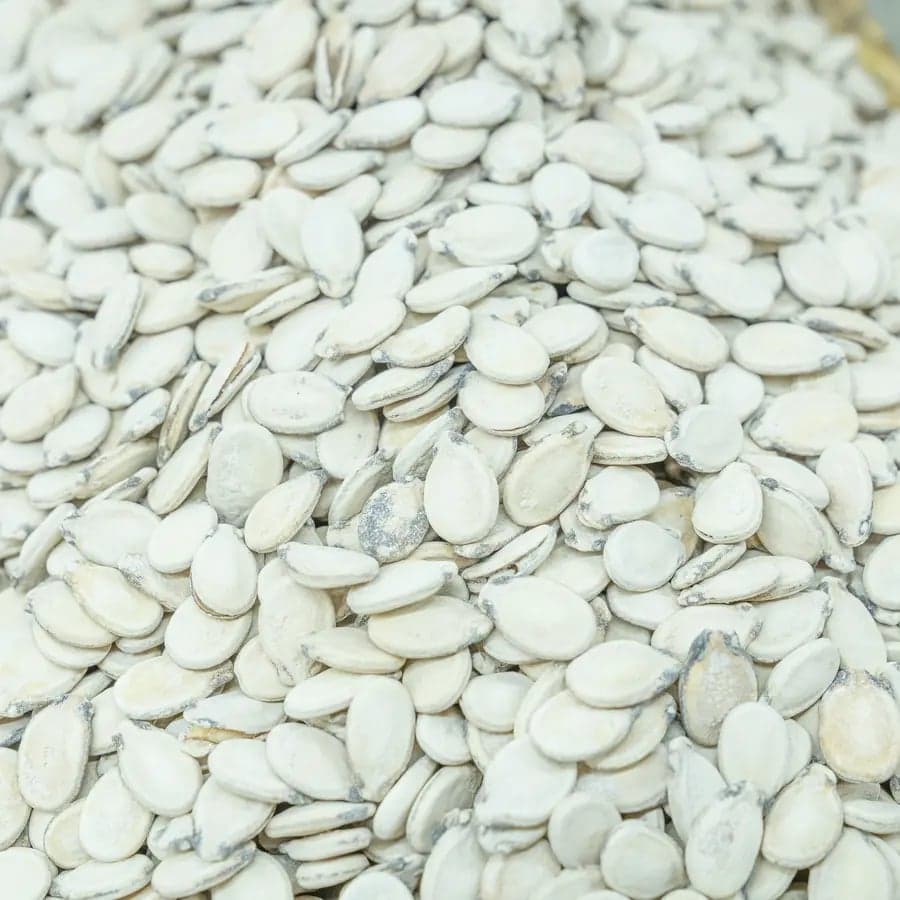 Mubakhar Palestinian Watermelon Seeds