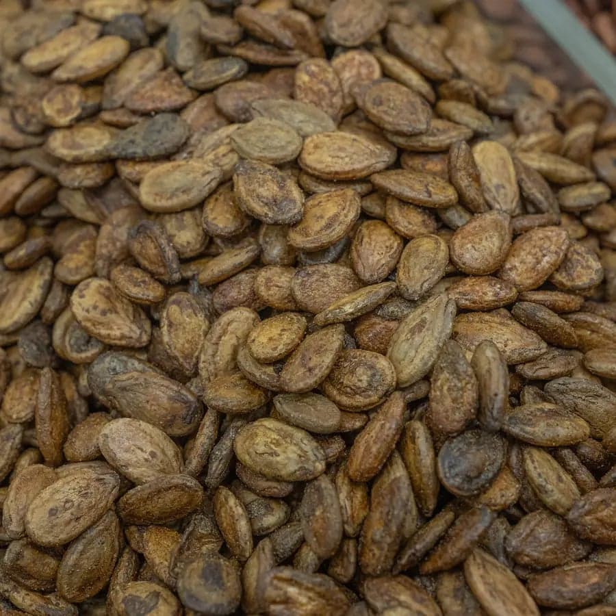 Roasted Jordanian Watermelon Seeds - Lemon