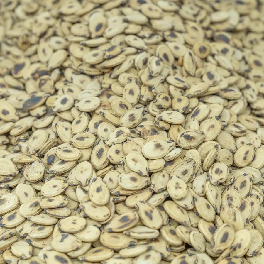 Palestinian Seeds