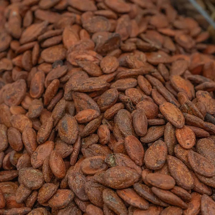 Roasted Jumbo Iranian Watermelon Seeds - Spicy