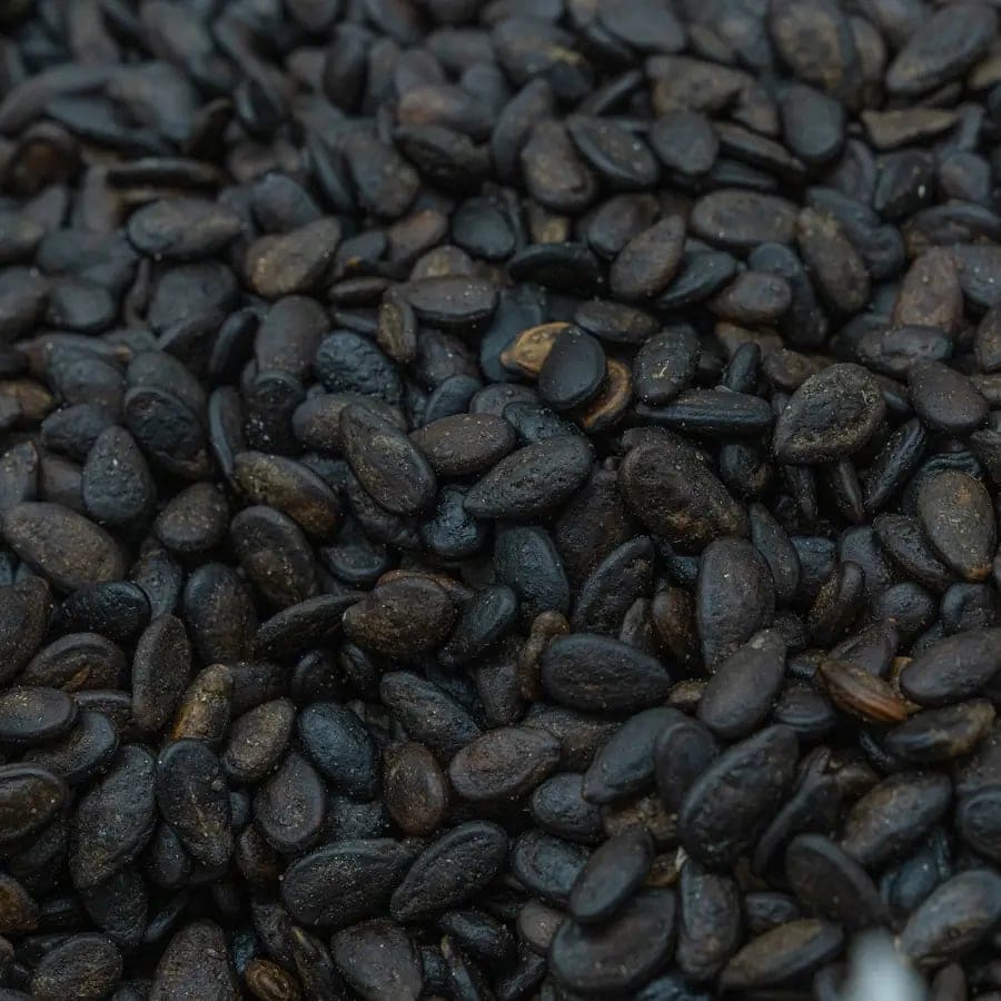 Roasted Syrian Watermelon Seeds