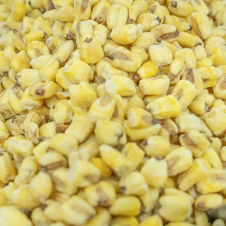 Roasted Corn - Salted