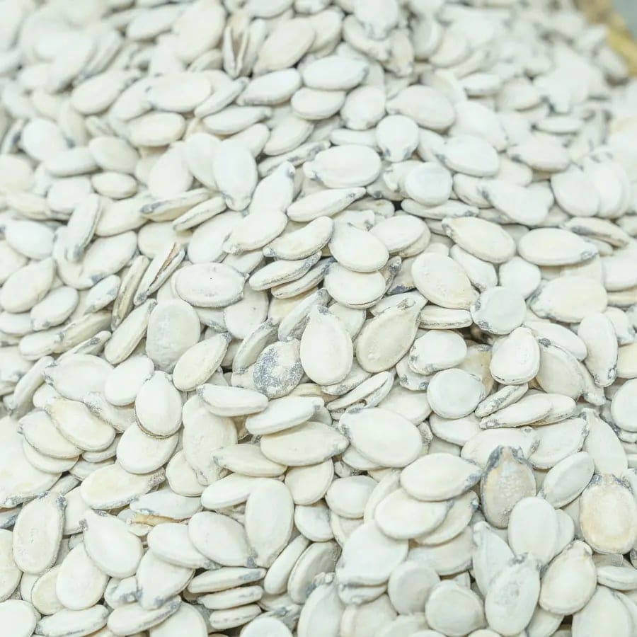 Mubakhar Palestinian Watermelon Seeds