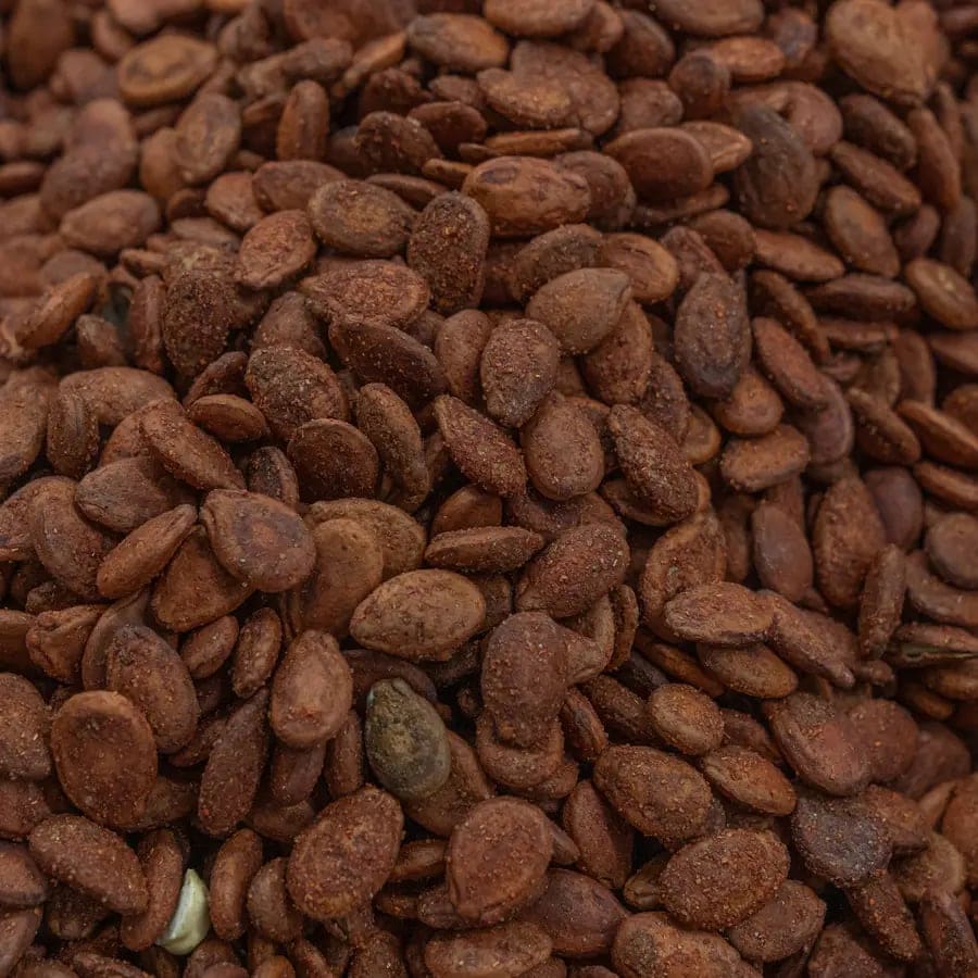 Roasted Jordanian Watermelon Seeds - Spicy
