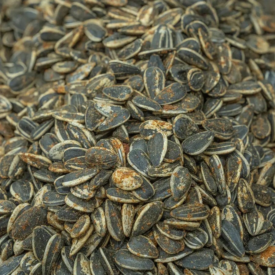 Roasted Sunflower Seeds - BBQ