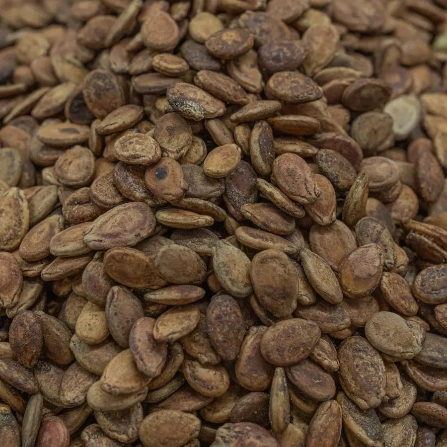 Roasted Jordanian Watermelon Seeds - Salted