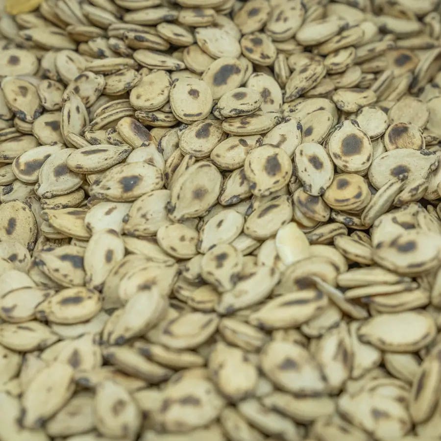 Roasted Unsalted Palestinian Watermelon Seeds