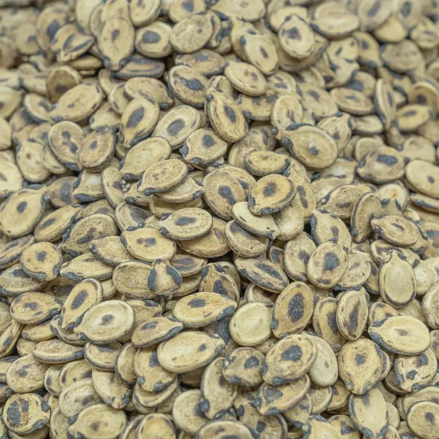 Palestinian Saj Watermelon Seeds
