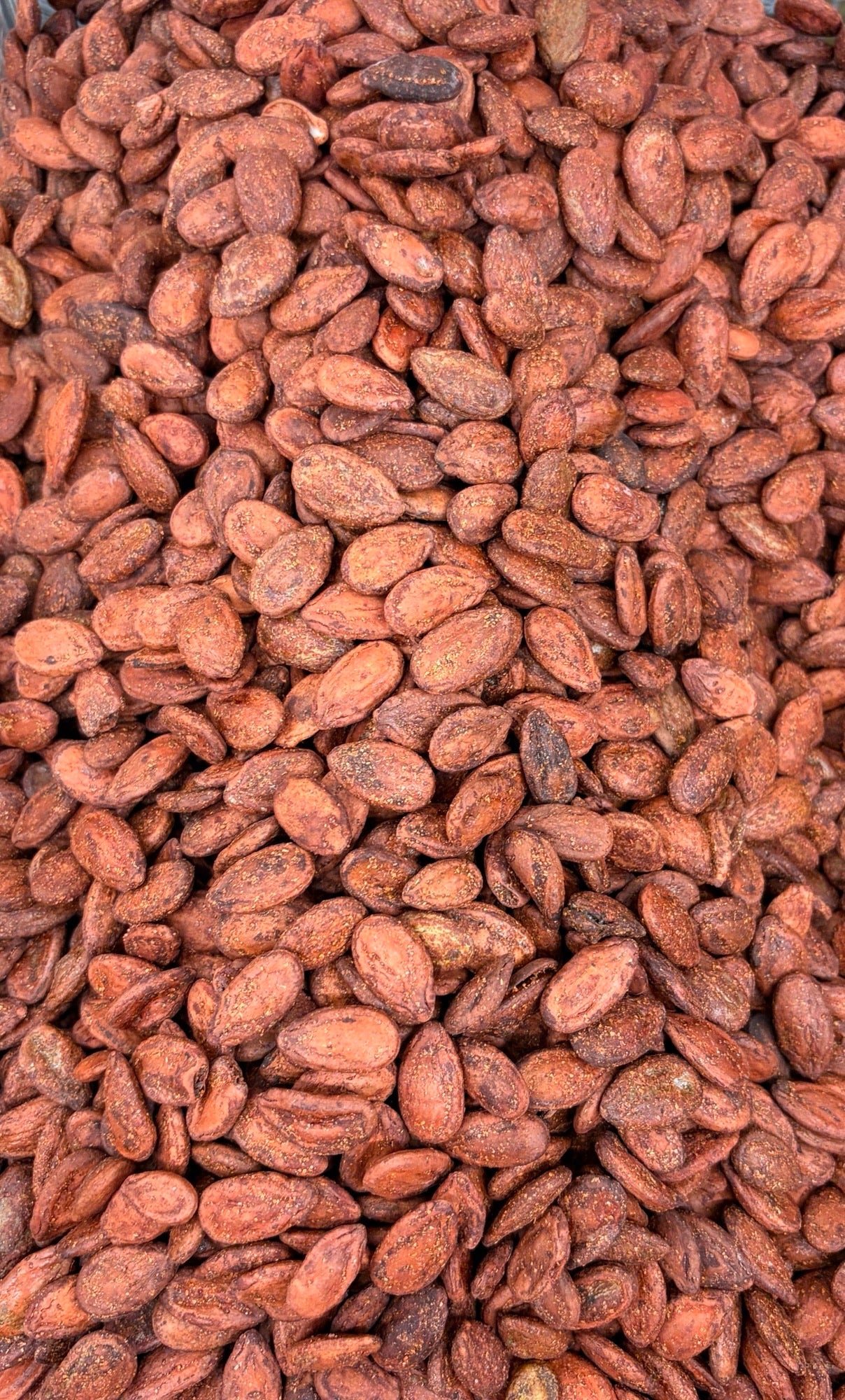 Roasted Jumbo Iranian Watermelon Seeds