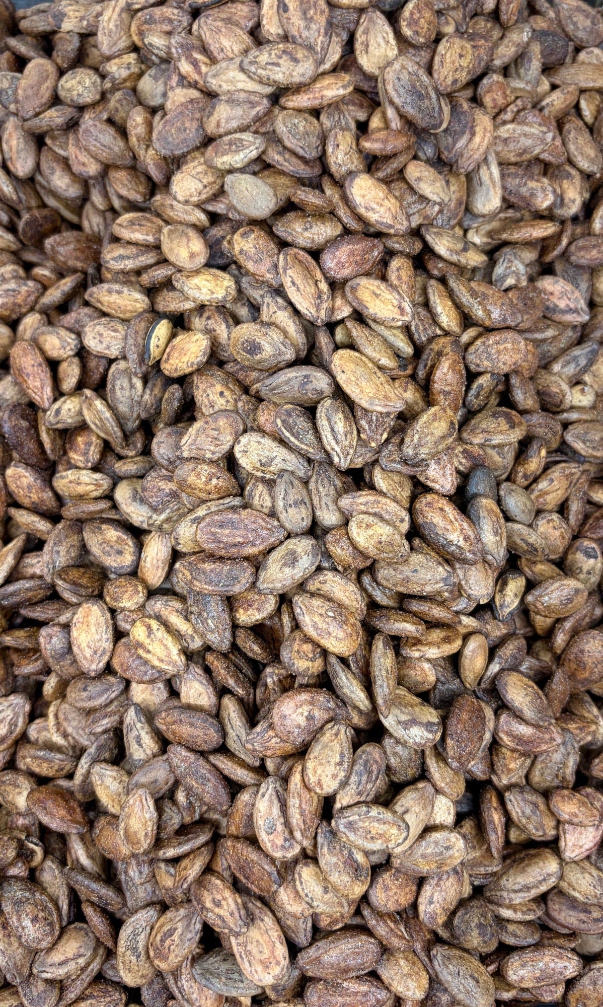 Roasted Jumbo Iranian Watermelon Seeds